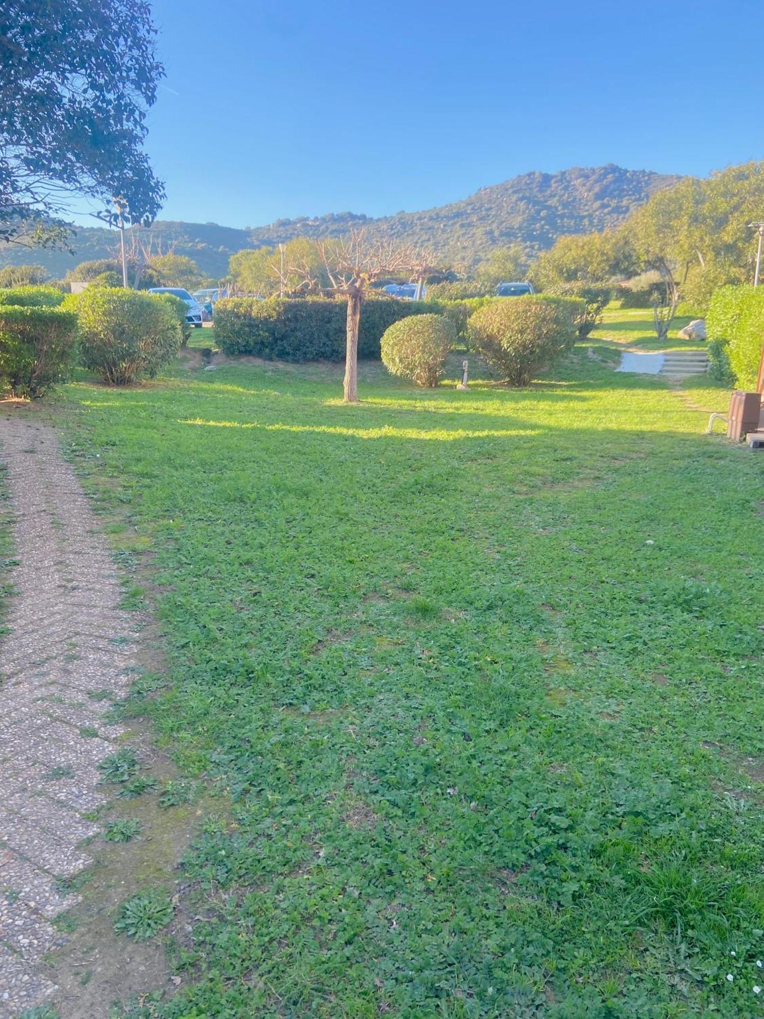 Tres Bel Appartement Les Pieds Dans L'Eau Appietto Extérieur photo