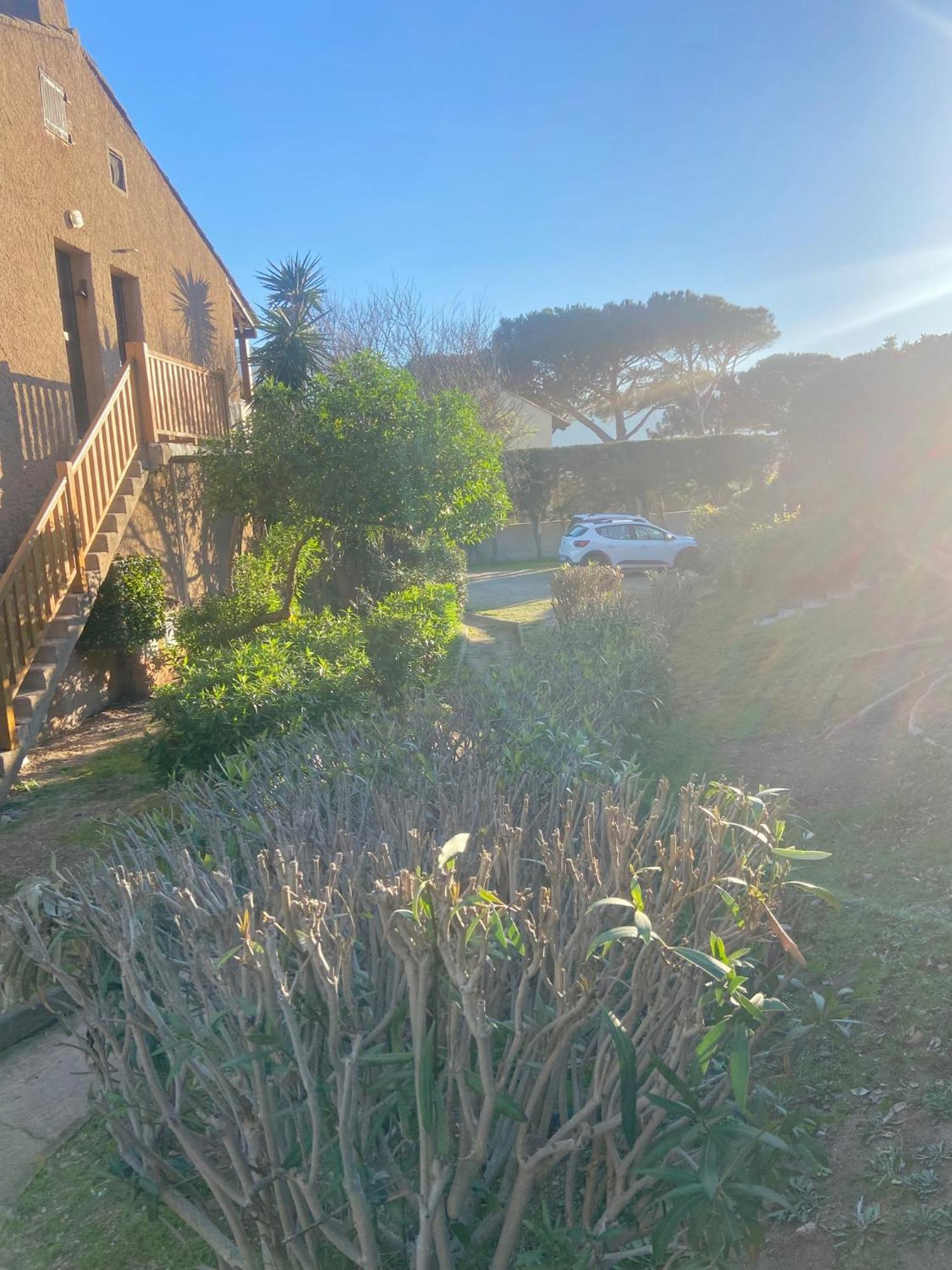 Tres Bel Appartement Les Pieds Dans L'Eau Appietto Extérieur photo